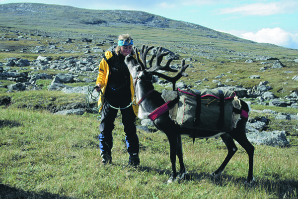 Lena Conlan of Crossing Latitudes with Reindeer in Sweden